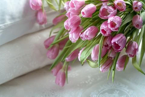 Tulips 库存照片