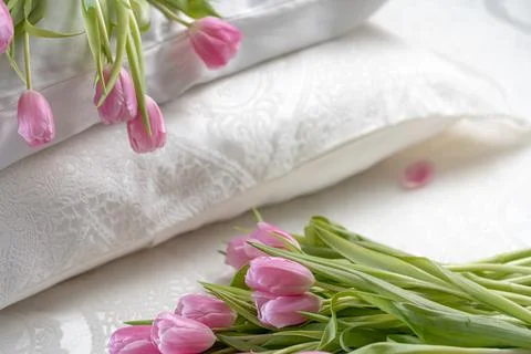 Tulips 스톡 사진