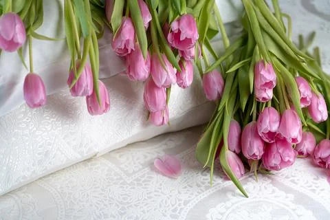 Tulips 스톡 사진