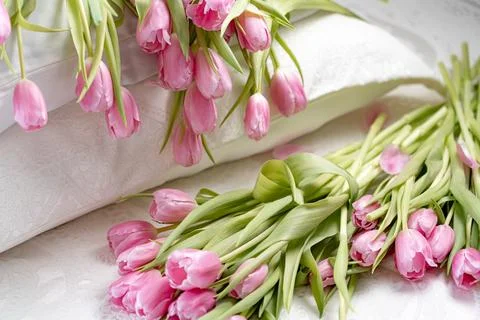 Tulips 스톡 사진