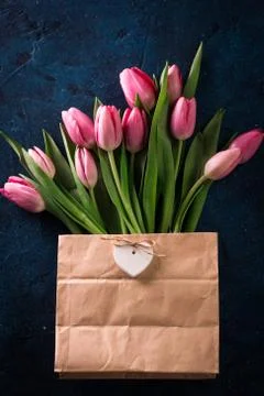 Tulips pink, on the blue background. Spring holiday concept Stock Photos