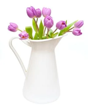 Tulips in pitcher Stock Photos