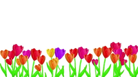 Tulips in Plasticine. Alpha matte. 4K Stock Footage 72731968