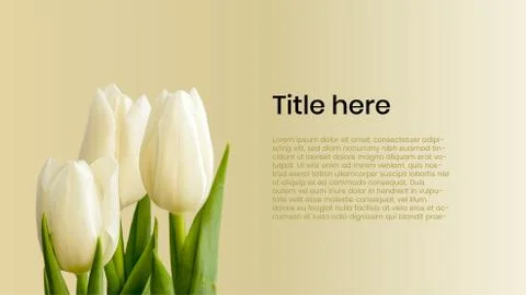 Tulips poster with text sample Stock Illustration