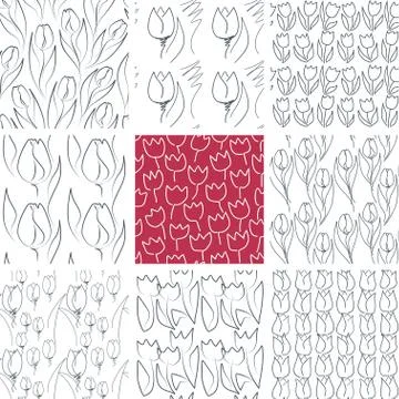 Tulips Seamless Patterns Set Stock Illustration