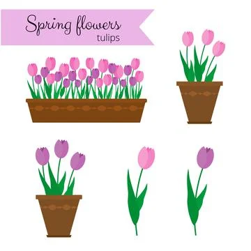 Tulips set. Stock Illustration