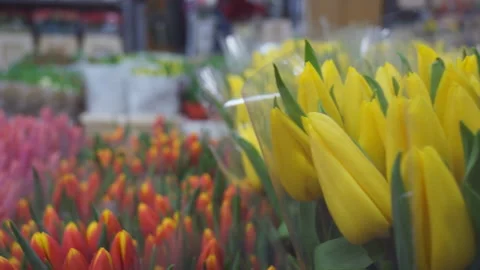 Tulips slowmotion yellow Stock-Footage 87327183