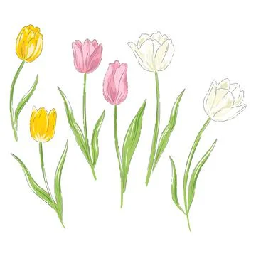 Tulips spring Easter flowers Illustrazione stock