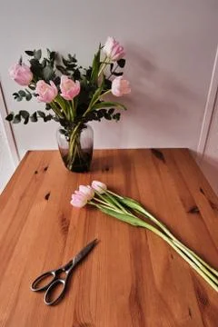 Tulips stand on a table Stock Photos
