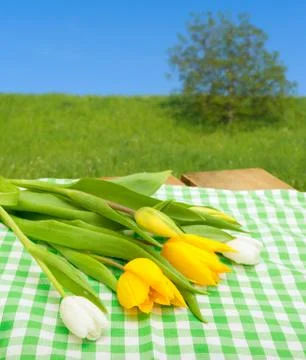 Tulips on table Stock Photos