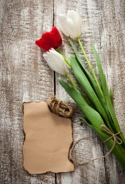 Tulips on a table 스톡 사진