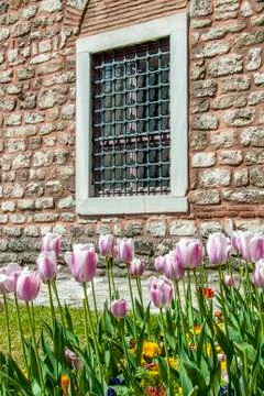 Tulips of Topkapi Palace Stock Photos