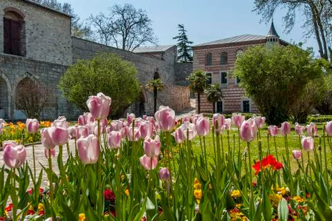 Tulips of Topkapi Palace Stock Photos