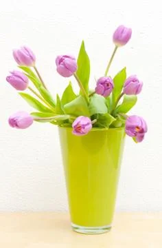 Tulips in vase Stock Photos