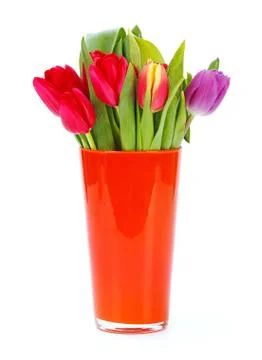 Tulips in vase Stock Photos