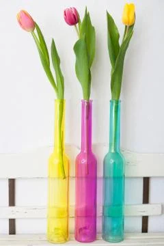 Tulips in vases Stock-Fotos