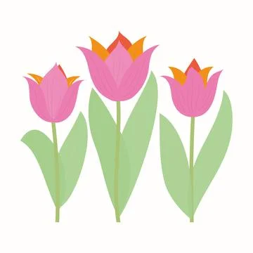 Tulips Vector Background Illustration Stock Illustration