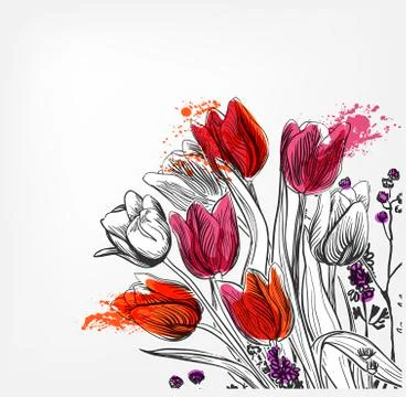 Tulips vector card simple splash colorful sketch Stock Illustration