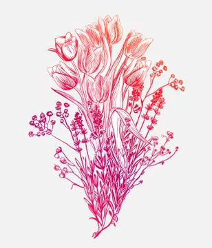 Tulips vector card simple splash colorful sketch Stock Illustration