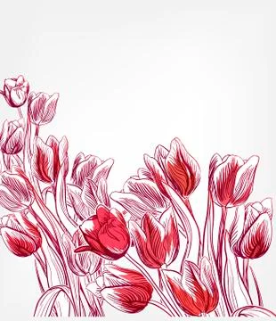 Tulips vector card simple splash colorful sketch Stock Illustration