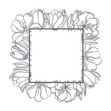 Tulips. Vector  illustration. Stock Illustration