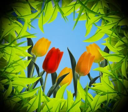 Tulips view from inside the hole Stock Photos