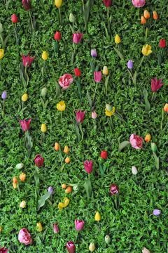 Tulips wall tapestry Stock Photos