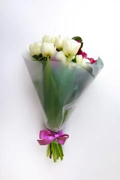 Tulips  a on white background. Hello Spring. Stylish soft image of spring f.. Stock Photos