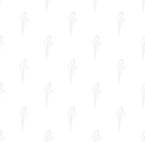 Tulips on White Background Stock Illustration