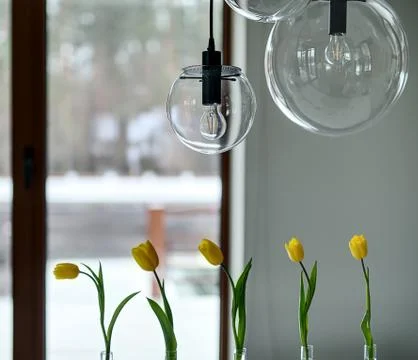 Tulips on the window background Stock-Fotos