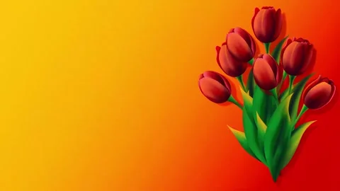 Tulips on a yellow background Stock Footage 328996672