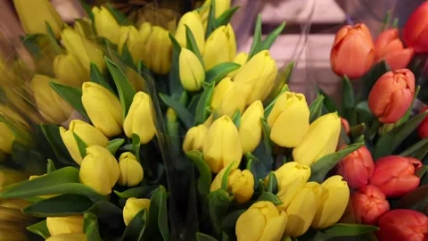 TulipsStore Stock Footage 273406461