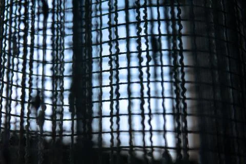 The tulle on the window Stock Photos