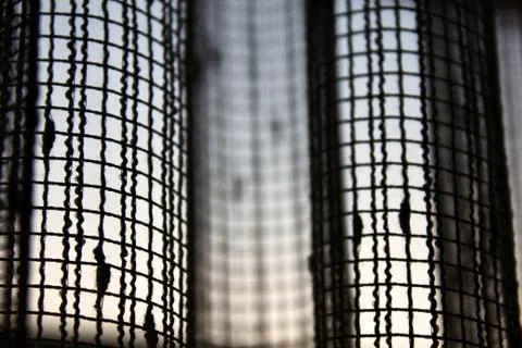 The tulle on the window Stock Photos