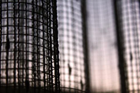 The tulle on the window Stock Photos