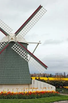 Tullip farm windmill Foto stock