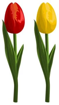 Tullips Stock Illustration