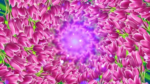 TULPTUNEL Video stock 110232504