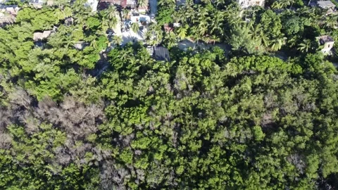 Tulum Aerial 4K 30fps Stock Footage 331662499