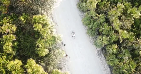 Tulum Aerial-Biking through the jungle Stock Footage