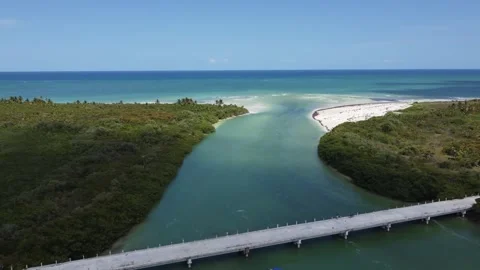 Tulum Bridge Reveal Stock Footage 331662581