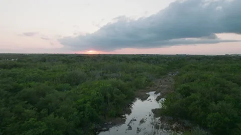 Tulum dense forest habitat at sunset, Yucatan moist forest, Quintana Roo, Drone Stock Footage 299296165