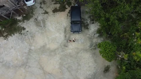 Tulum jungle Stock Footage 231078467