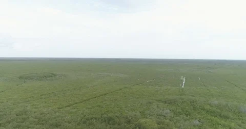 Tulum Landscape Stock Footage 98470020