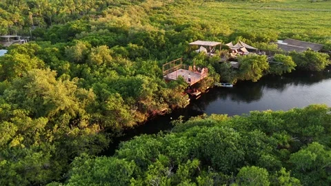 Tulum, Mexico: Drone Flying Over Mangrove River and Eco Lodge Stock Footage 306671008