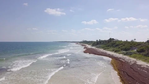 Tulum Mexico Low Angle Swooping Aerial 動画素材 93407554