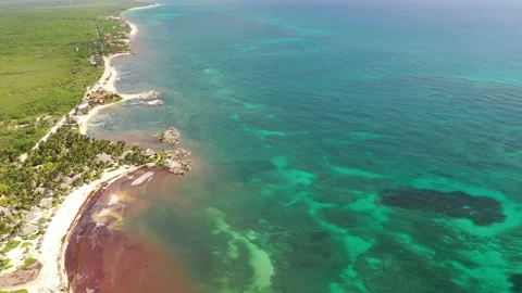 Tulum Mexico Riviera Maya Caribbean Video stock 137428811