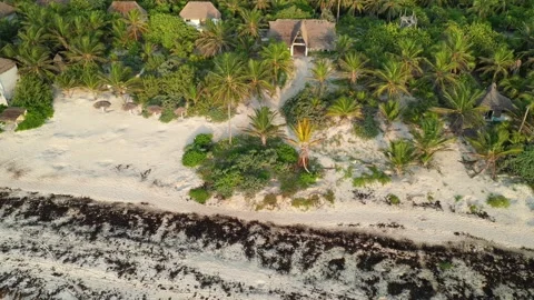 Tulum Mexico Riviera Maya Caribbean Stock Footage 137429232
