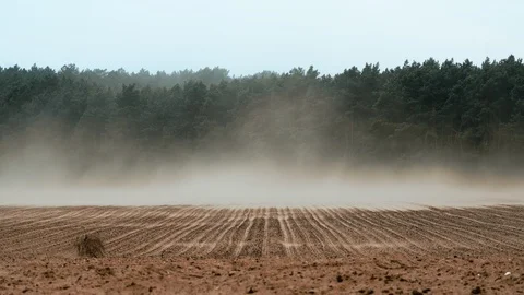 Tumble Weed Rolling down a hill in the d, Stock Video