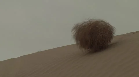 Tumble Weed Rolling down a hill in the d, Stock Video